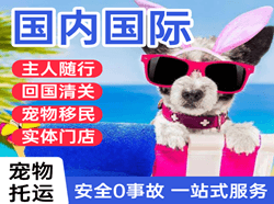 巴中恩阳空运地址国际宠物托运 【国